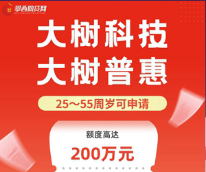 大树普惠_发票贷