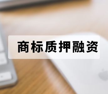 商标质押贷款