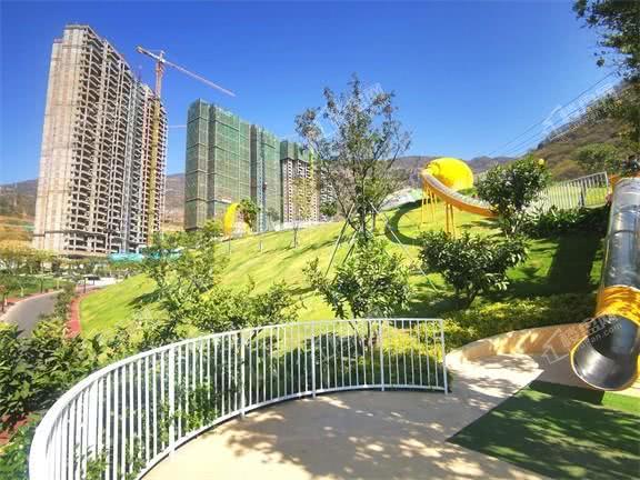 西区：党建引领推进村集体经济高质量发展