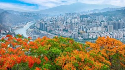 “平急结合” 在重大工作中淬炼基层治理组织力