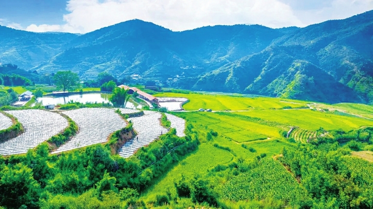 既端稳“饭碗”，又鼓起“腰包” 聚力打造“天府第二粮仓”攀枝花市仁和基地
