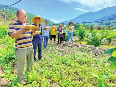 首批乡村振兴补助资金2593万元到位 攀枝花市仁和区今年将实施项目49个