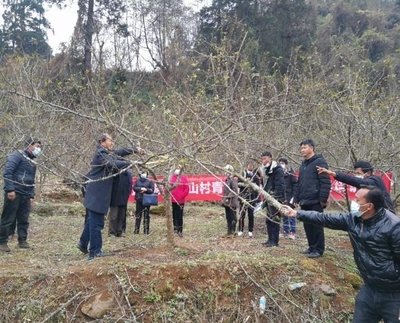 攀枝花市“技术+产业”助力乡村产业发展