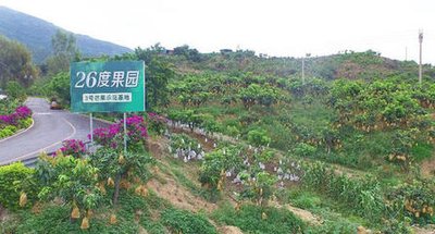 涉农贷款余额超200亿 金融“活水”润春耕
