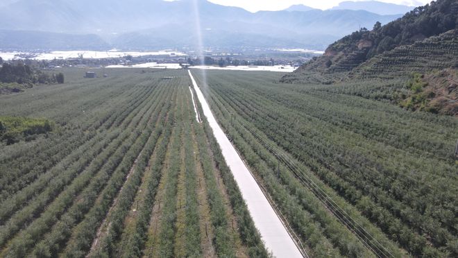 2023年一季度凉山州农业生产开局良好