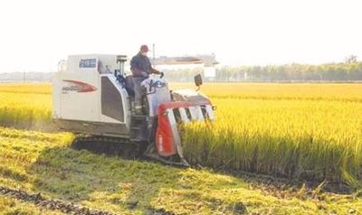 “凉农研—1”收割机在西昌开展旱稻收割测试