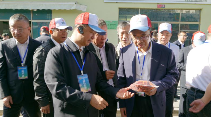 2023云南·元谋第七届蔬菜种业博览会开幕
