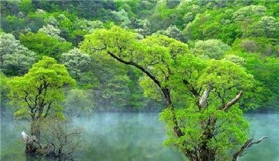 攀枝花市2022年度预决算公开考核名列全省第二！