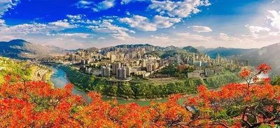 繁花盛开在“第二个春天”